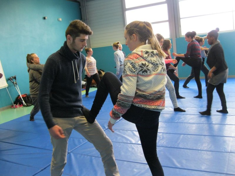 Classe de 1re SAPAT en atelier avec la Débordante (2016)